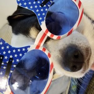 Meet your Posher, Jeri